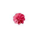 9161361_Bilddaten_komplett/9161361-12.png