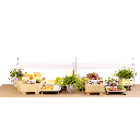9055245_Bilddaten_komplett/9055245-10.png