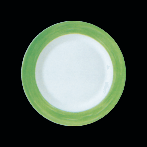 [9009816] Teller flach 25,2 cm, Brush Green