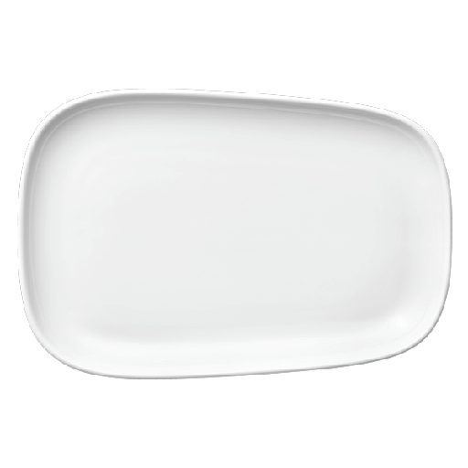 [9829427] Teller Special 26 x 18 cm, Reusable